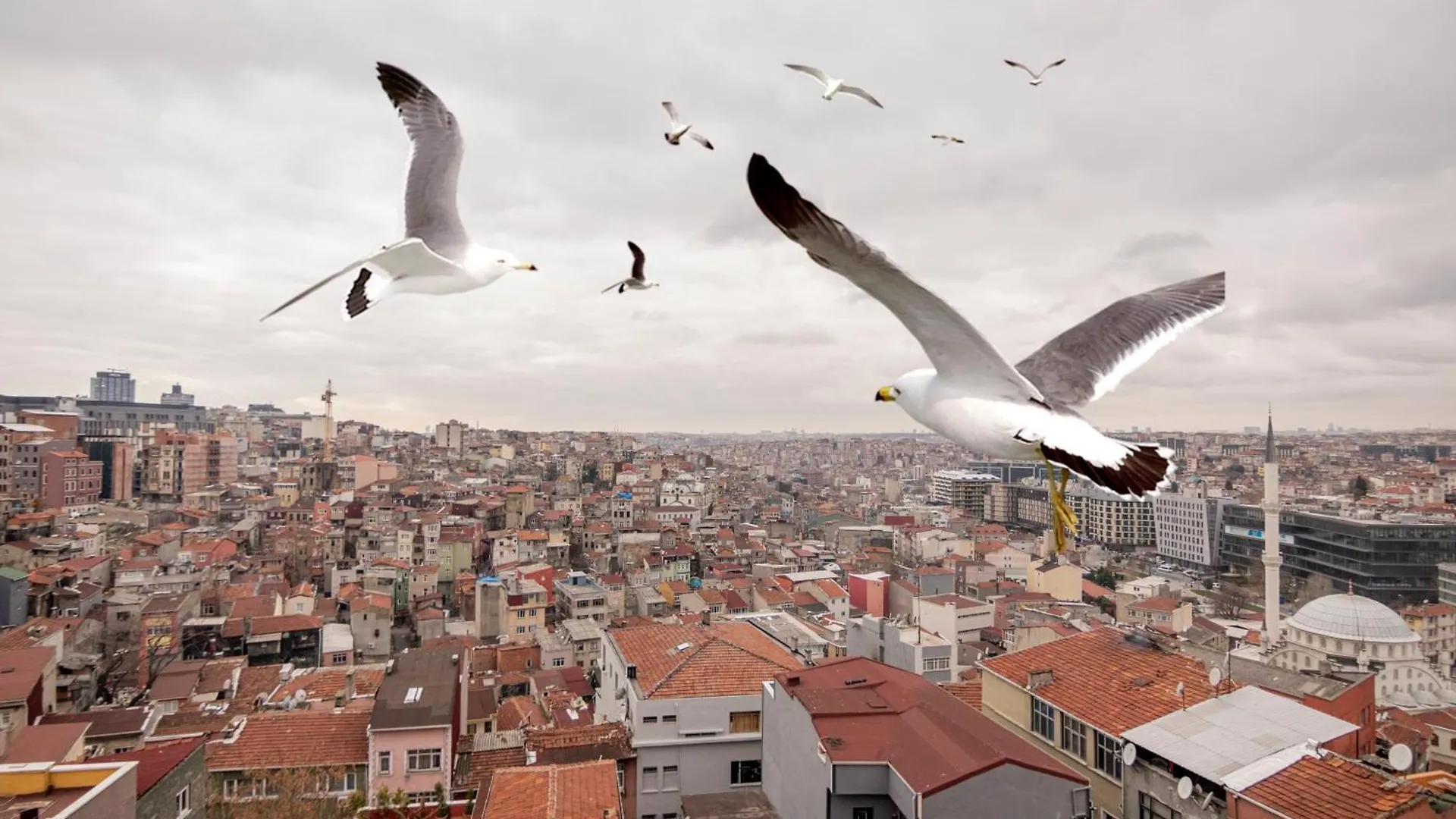 Taksim Roya Apartment - Taksim Istanbul 0*,  Turkey